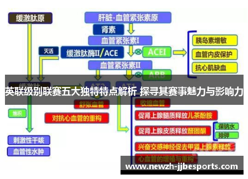 英联级别联赛五大独特特点解析 探寻其赛事魅力与影响力